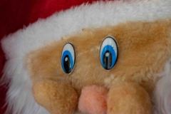 06-12-2025 BIALYSTOK MIKOLAJ WLACZENIE SWIATLA SWIATECZNE CHOINKA FOT KRZYSZTOF KIERCUL  / CKU BIALYSTOKJ